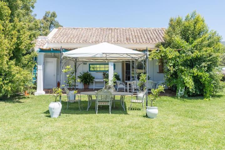 La Casita By Teresa Villa Marbella Dış mekan fotoğraf
