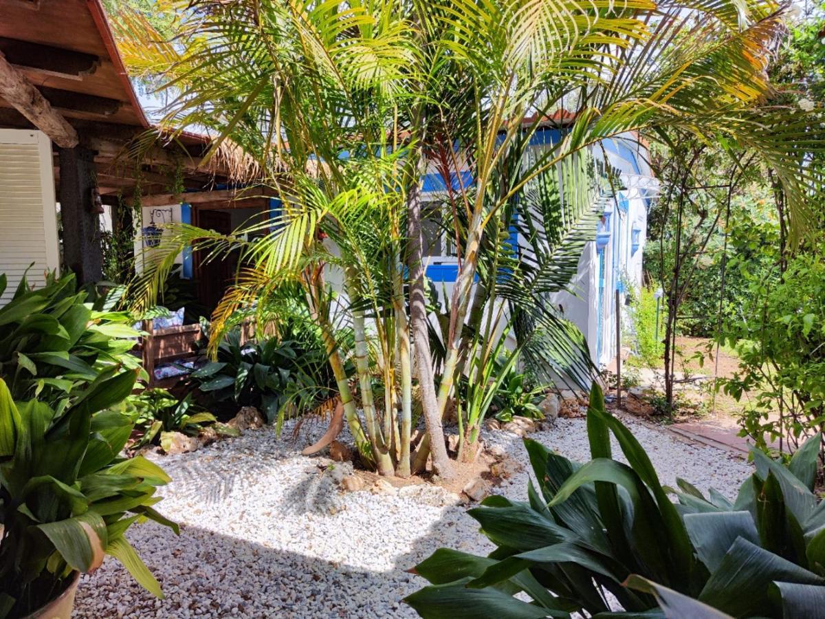 La Casita By Teresa Villa Marbella Dış mekan fotoğraf